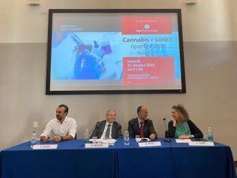 Cannabis, esperti: “Ripartire dalla scienza distinguendo farmaci dagli altri prodotti”