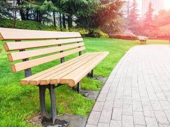 Forest Report, urban greenery is not taking off