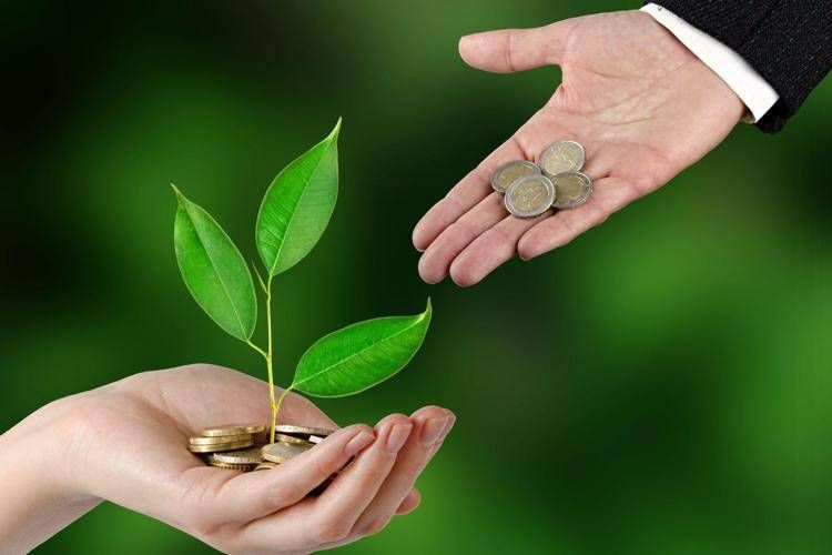 Mano dà soldi a mano con piantina - Canva
