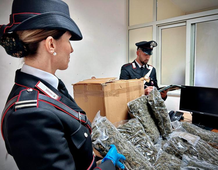 Il contenuto del pacco sequestrato dai carabinieri