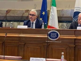 Tax, Cuzzilla (Cida): “Help those who really need by looking for tax evaders”