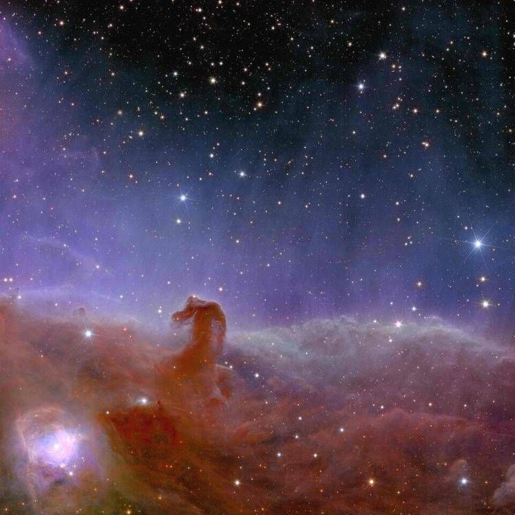 La Nebulosa Testa di Cavallo (Crediti:: ESA/Euclid/Euclid Consortium/NASA, image processing by J.-C. Cuillandre (CEA Paris-Saclay), G. Anselmi; CC BY-SA 3.0 IGO) 