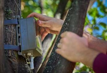 Prospettiva Terra is born, a network to tackle global warming
