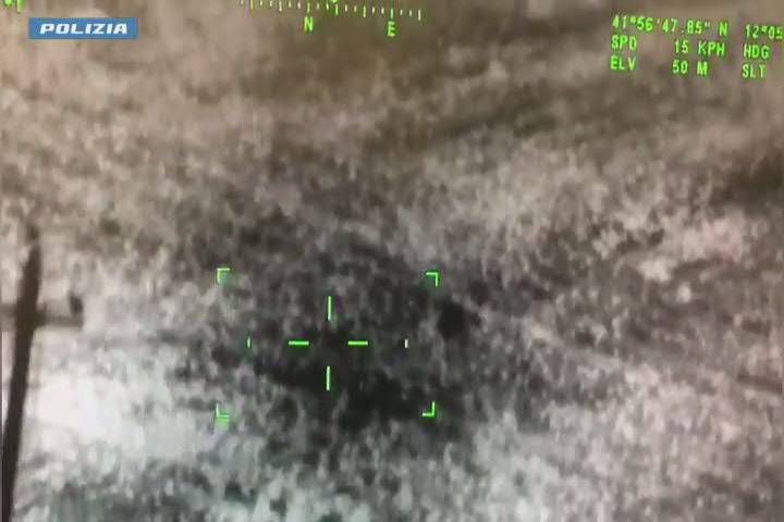 The lion in Ladispoli: the escape before capture, the video from the helicopter