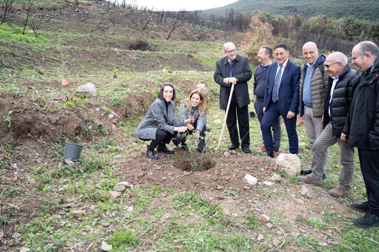 Rigenerata a Gratteri area 10 mila mq, al via progetto 'Le città che respirano' Nespresso