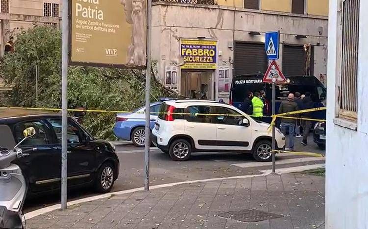L'albero crollato a Roma in via Donna Olimpia