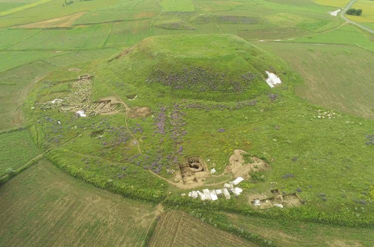 (Ufficio stampa Unipi)