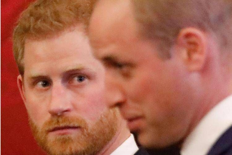 Tra William e Harry
