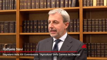 Nevi, ‘Italia ai vertici per sicurezza agroalimentare’