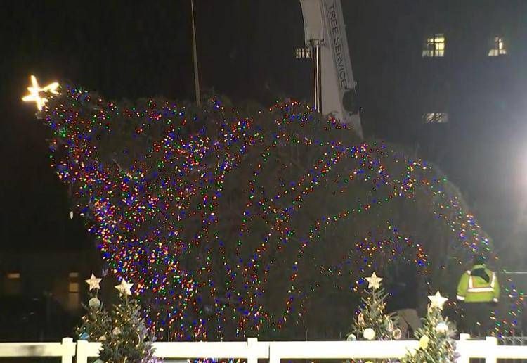 Il National Christmas Tree mentre viene risollevato dalla gru