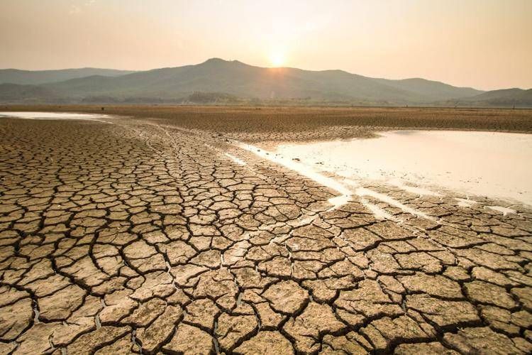 Appello igienisti, '7 azioni immediate per la salute e il futuro'