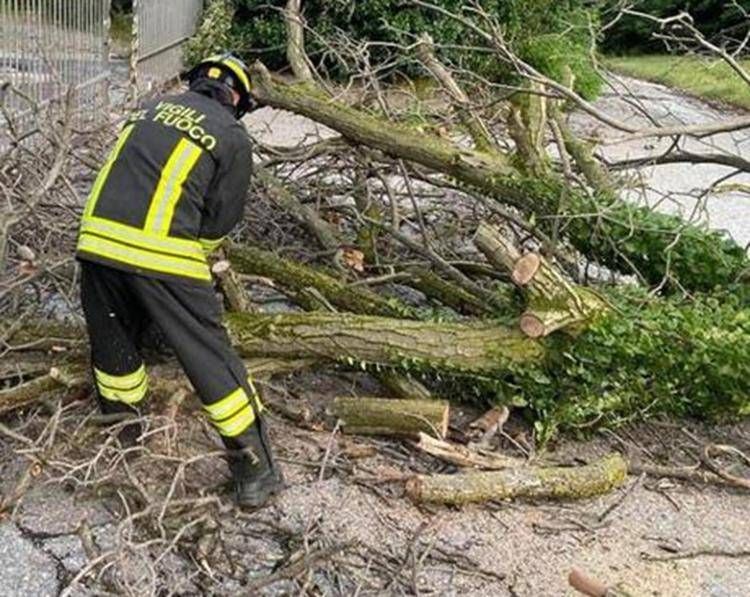 Foto dei Vigili del Fuoco