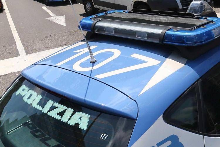 Auto della polizia (Fotogramma)