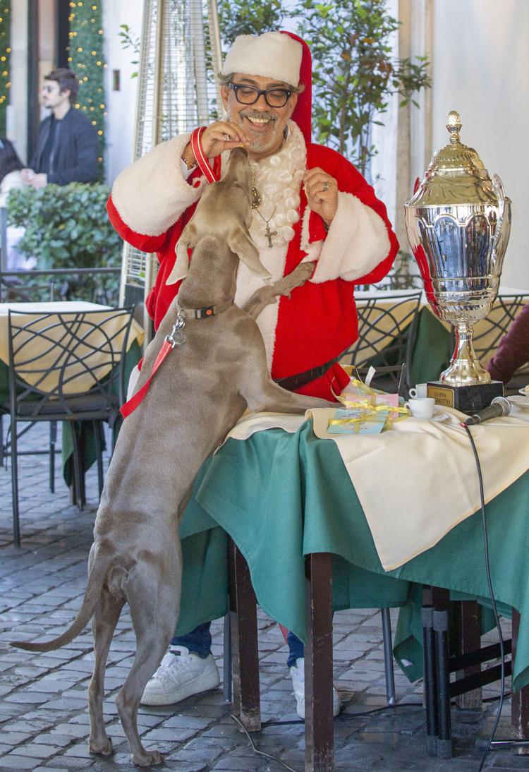 Guillermo Mariotto nell'insolita veste di Babbo Natale  con il suo cane Bimba - (Fotogramma/ Ipa)