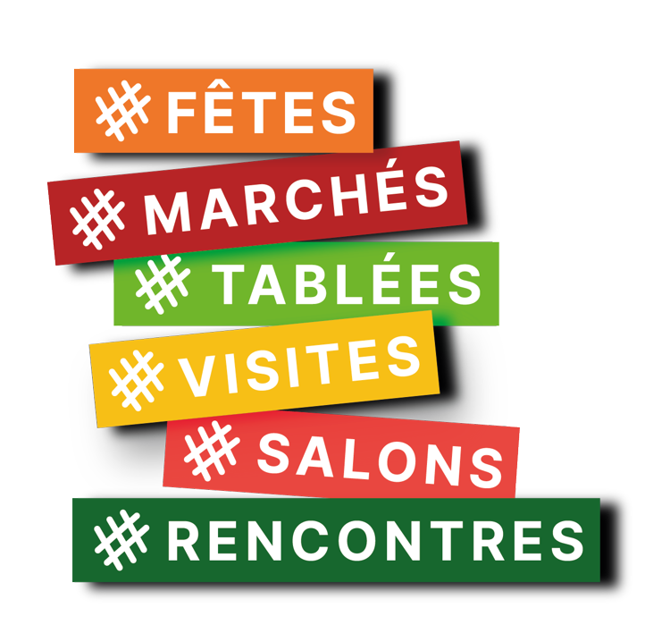 Turismo, Hauts-de-France: nel 2023 730 eventi e 170 progetti per la 'Regione europea gastronomia'