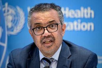 Aviaria, Oms: “In Usa triplicati gli allevamenti di bovini colpiti e 500 persone monitorate”