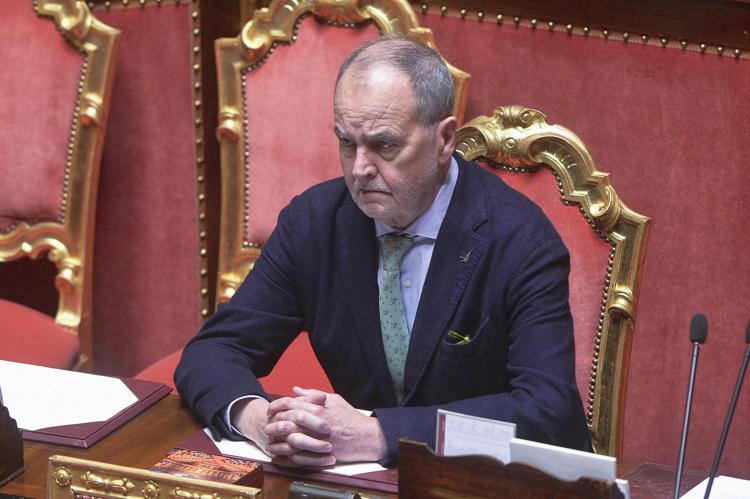 Roberto Calderoli in Senato - Fotogramma