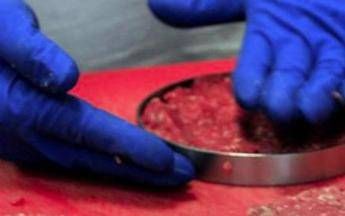 Coldiretti, c’è maggioranza qualificata in Ue su stop carne coltivata