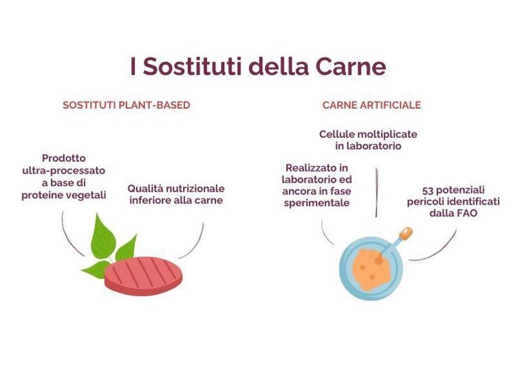 Sostituti della carne: fanno davvero bene? Gli esperti svelano i falsi miti nel nuovo dossier Nutrimi