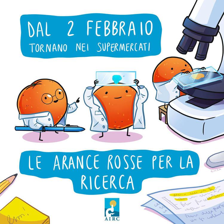 World cancer day, in 10mila supermercati le arance Airc per la ricerca