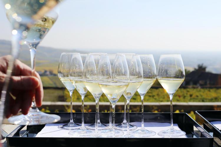 Champagne, da vigneron e Maison fiducia per il 2024 e nuovi impegni di filiera