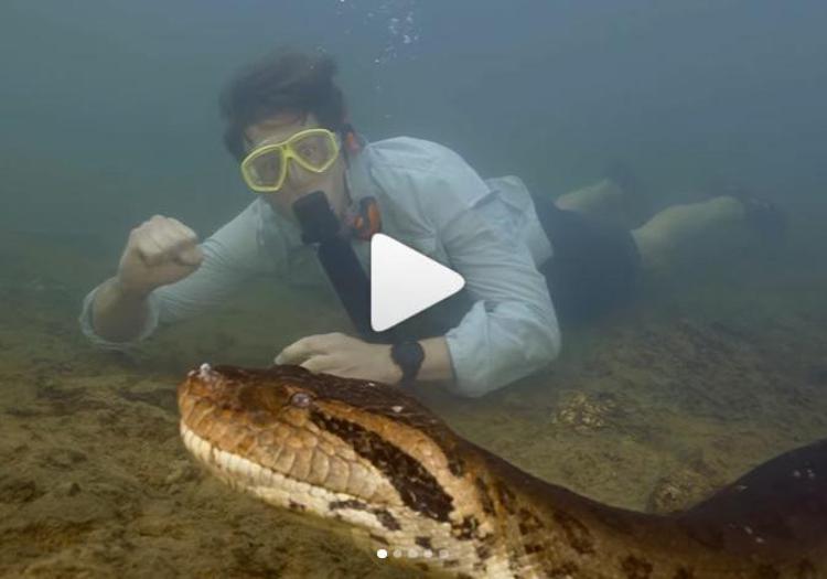 L'anaconda scoperta da Freek Vonk