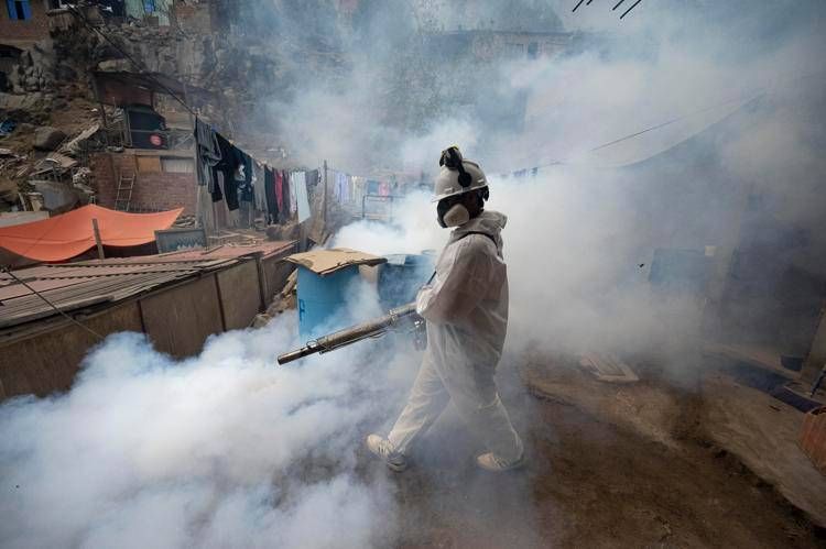 Disinfestazione per la Dengue - (Afp)