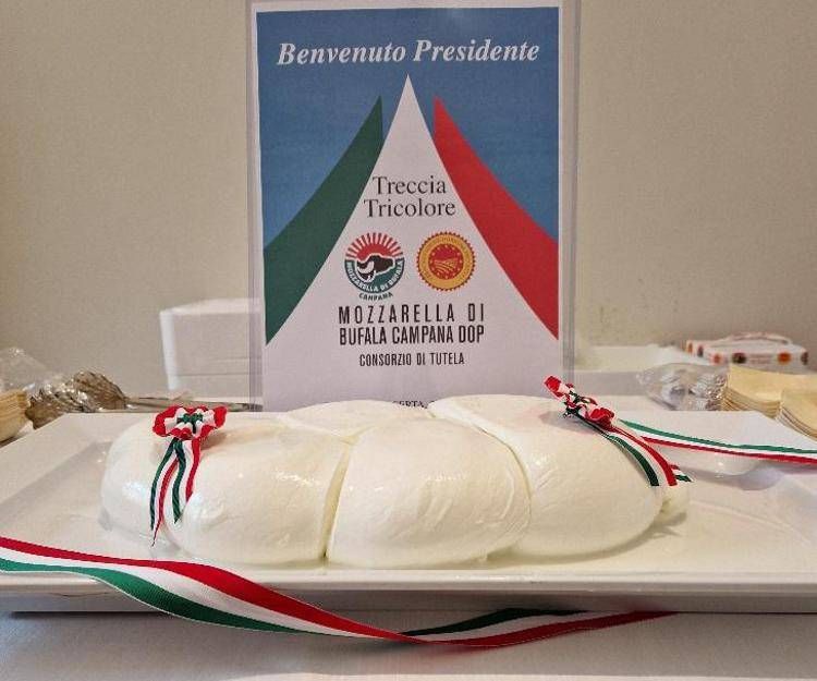 Dal Consorzio della mozzarella di bufala campana Dop una maxi treccia tricolore a Mattarella