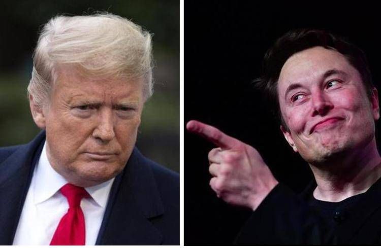 Donald Trump ed Elon Musk  - (Afp)