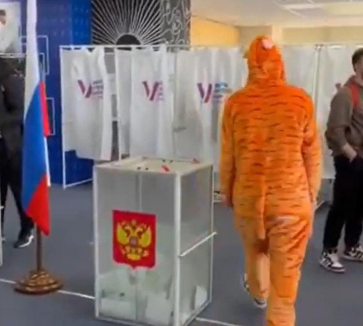 Un elettore con un costume da tigre