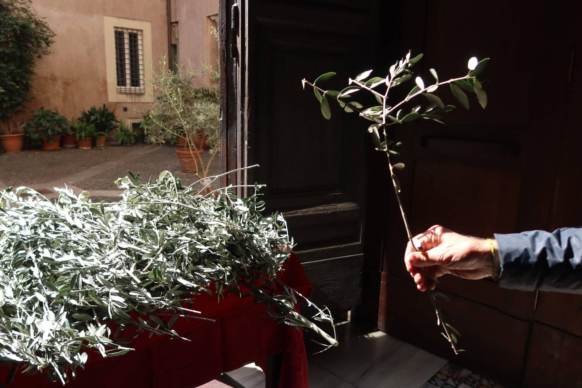 Cosa Significa La Domenica Delle Palme E' la Domenica delle palme, cosa si celebra e perché si usano i rami d