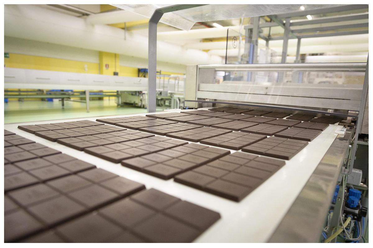 Icam cioccolato continua a crescere: fatturato 2023 a +7%
