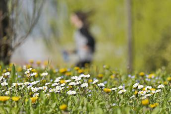 Per Pasqua “niente compiti delle vacanze”. Il pediatra: “Inutili e dannosi”