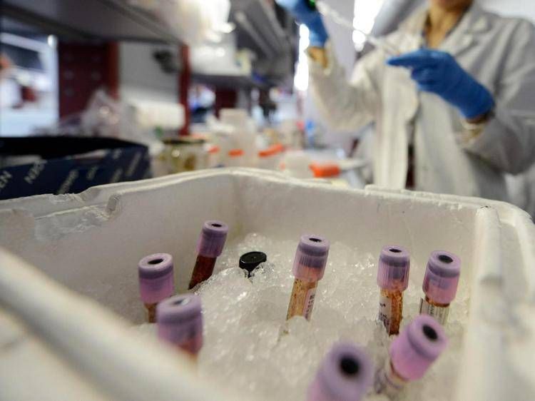 tumori svelato tumori svelato