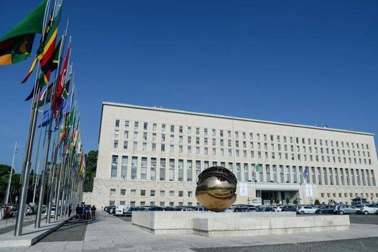 Farnesina - Fotogramma