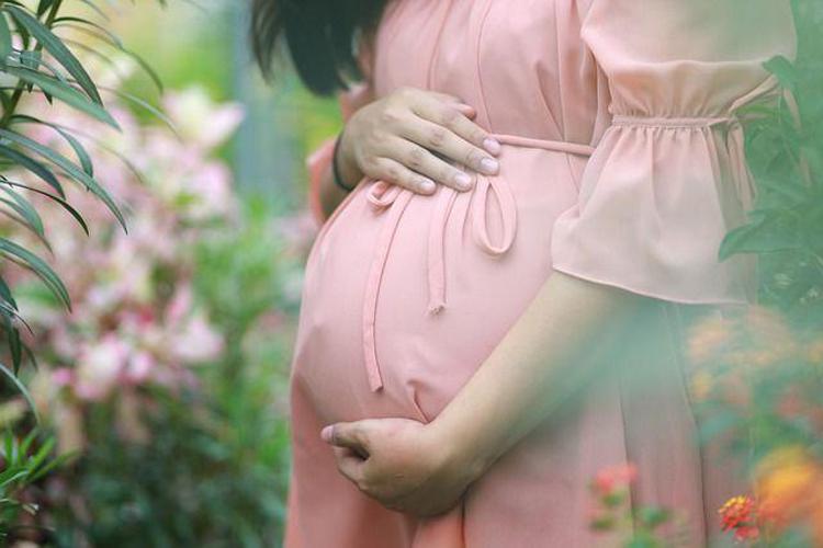 Donna incinta (da Pixabay)