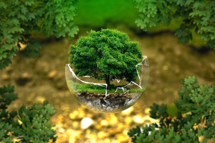 environmental-protection