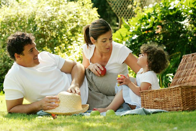 Famiglia al picnic -   