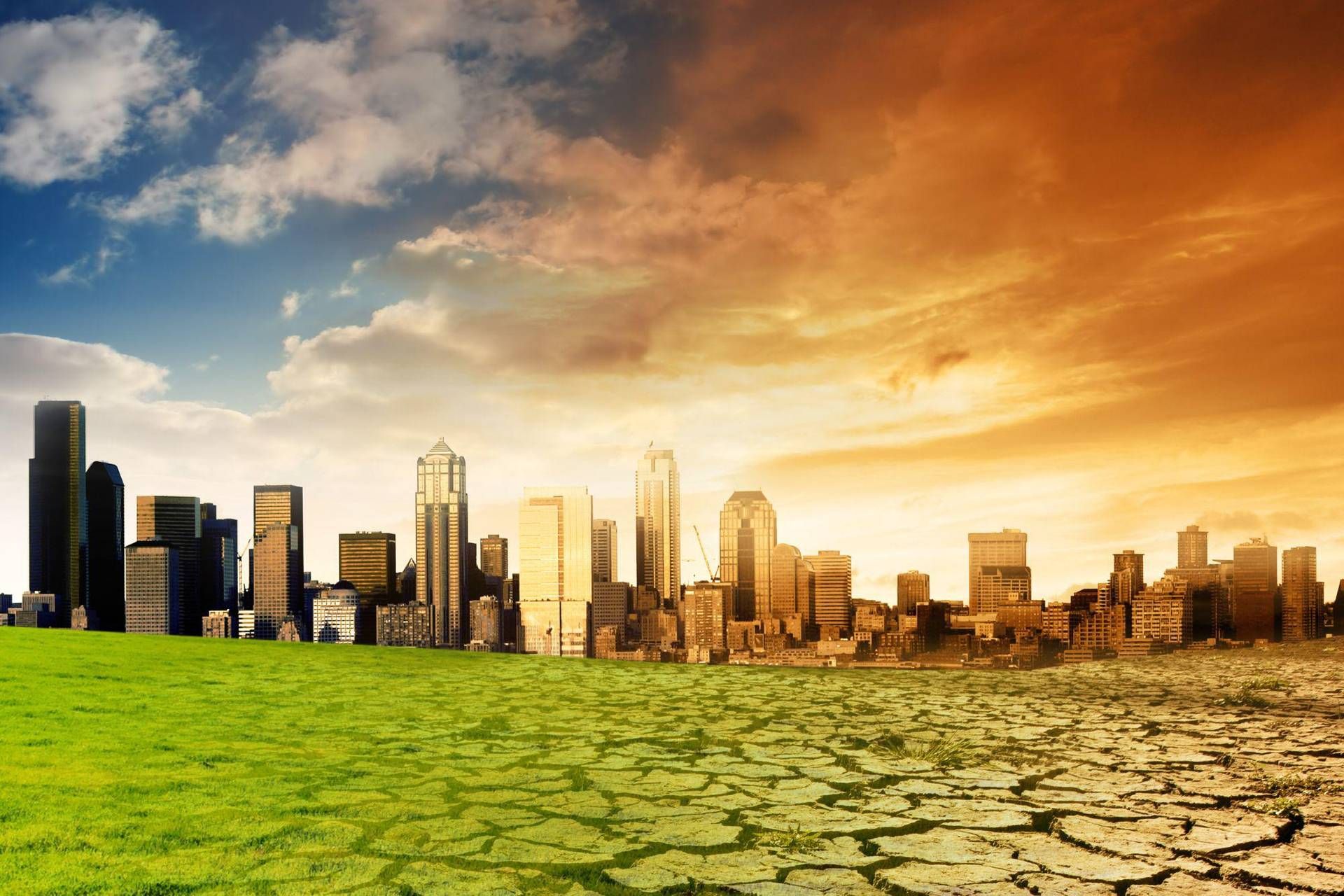 legali consulcesi legali consulcesi