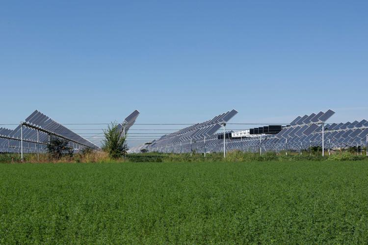 Agrivoltaico pannelli solari nei campi - Canva