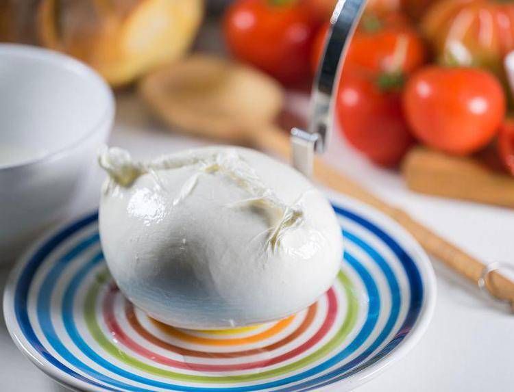 Mozzarella Dop e vini, nasce la prima guida-catalogo sui migliori abbinamenti