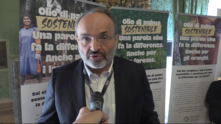 Carlo Alberto Pratesi, presidente dello European Institute of Innovation for Sustainability (Eiis)