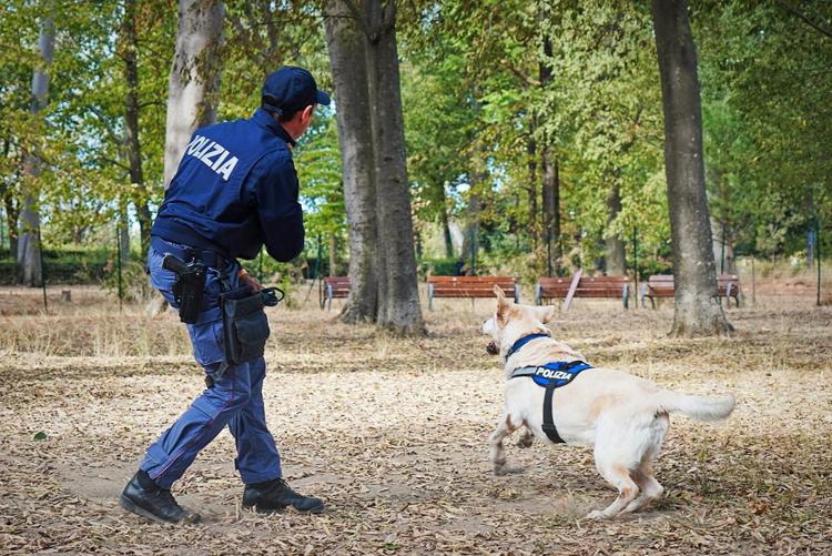 Empoli, poliziotto a spasso col cane scopre oltre 2 etti di cocaina