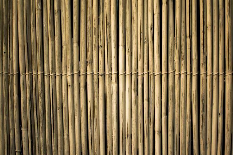 Dal bambù al vetro, la nuova frontiera dell’architettura sostenibile
