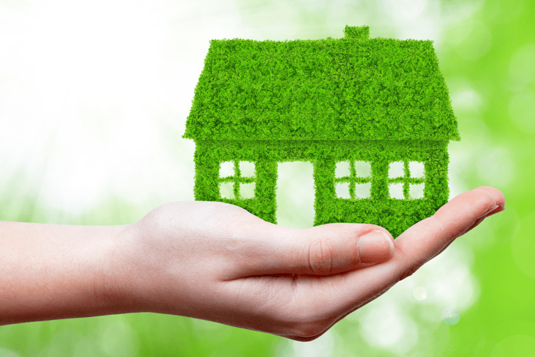 Casa green
