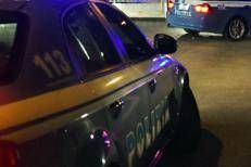 Polizia (Fotogramma)