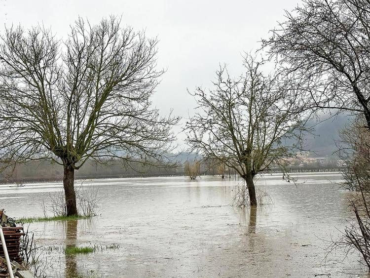 Maltempo in Veneto, allagamenti e frane: attesa la piena del Livenza