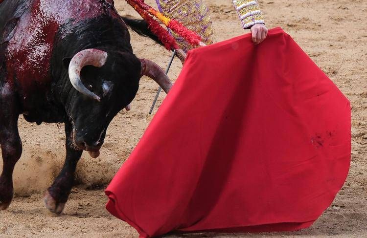 Un torero e un toro