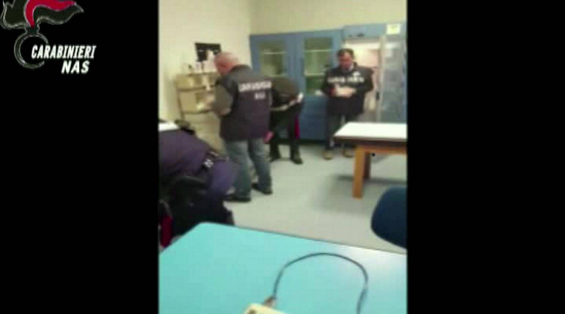 fausta bonino fausta bonino