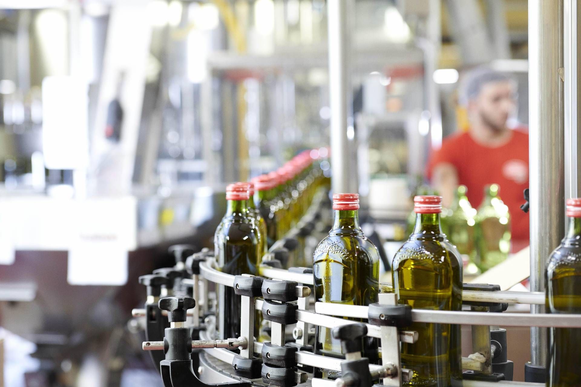 Olio - Chiara Coricelli: Business sostenibile e lungimiranza per una crescita virtuosa